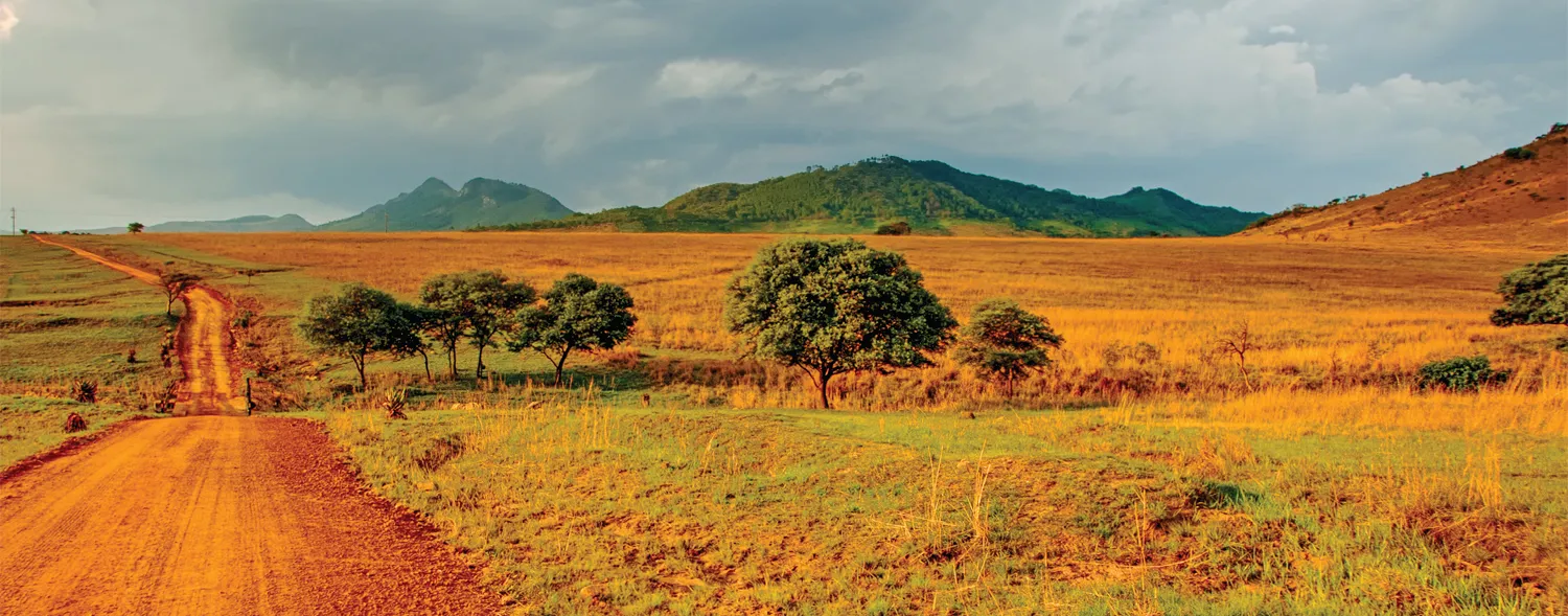 Red dirt road through golden fields and hills