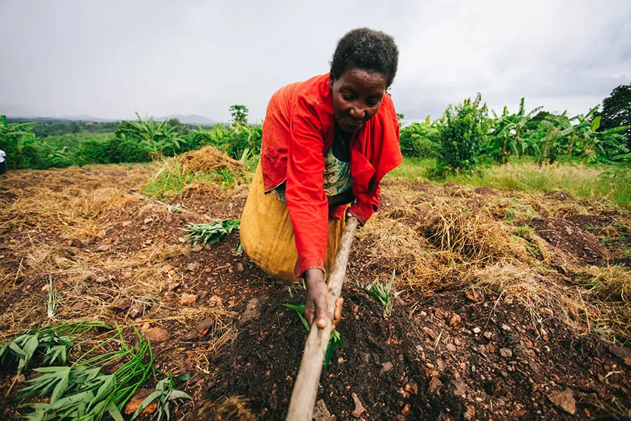 Woman farmer digging soil with a hoe