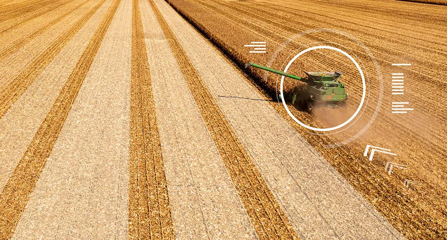 Green tractors harvesting in a golden field