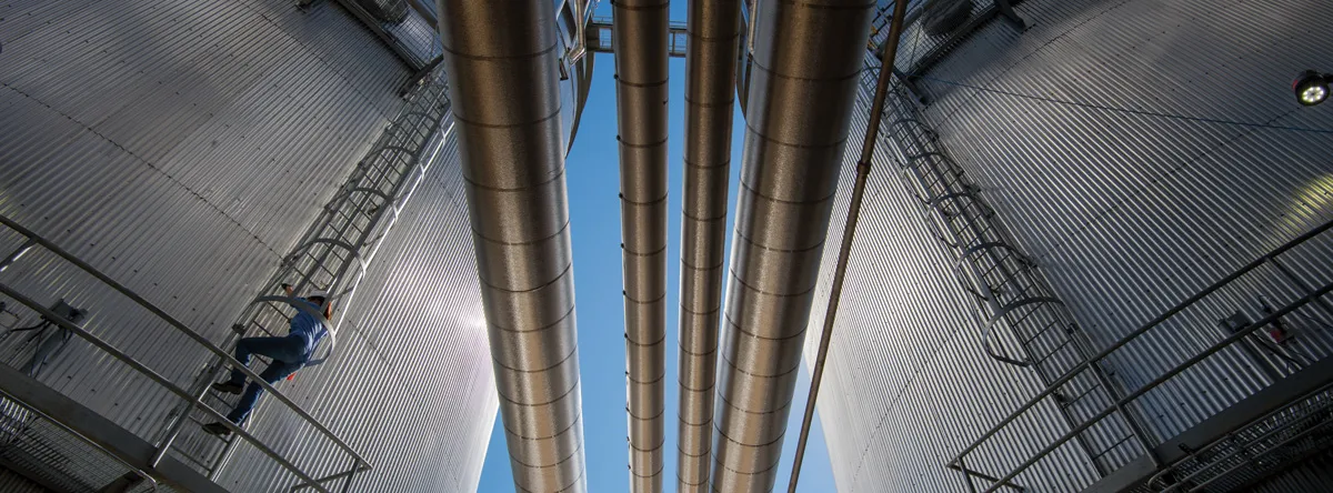 Worker climbs ladder beside large pipes
