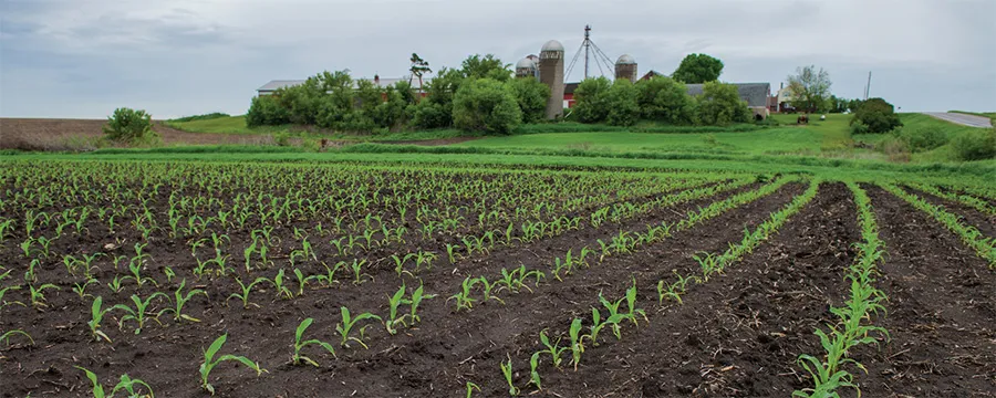 Broin Farm