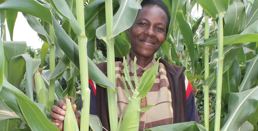 Kyanzio Village Based Advisor Catherine Mwende by a plot where she incorporated deep tillage using a spring jembe