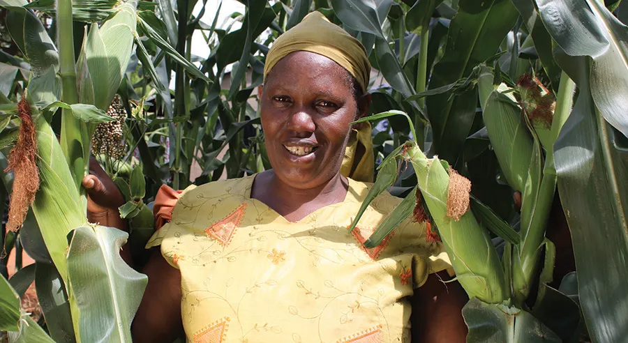 Ruth Mwikali by a plot where she planted an improved maize variety after deep tilling her land using a spring jembe (hoe)