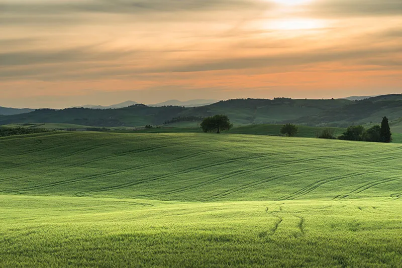 Rolling green fields under a sunset sky