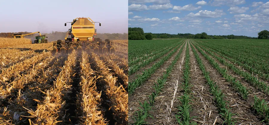 Field shown during fall harvest and again the following spring.
