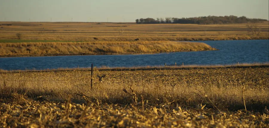 Golden fields and blue lake across the plain