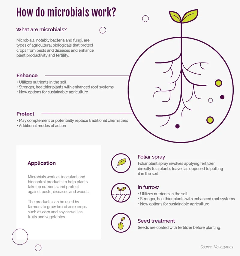 How do microbial work ?