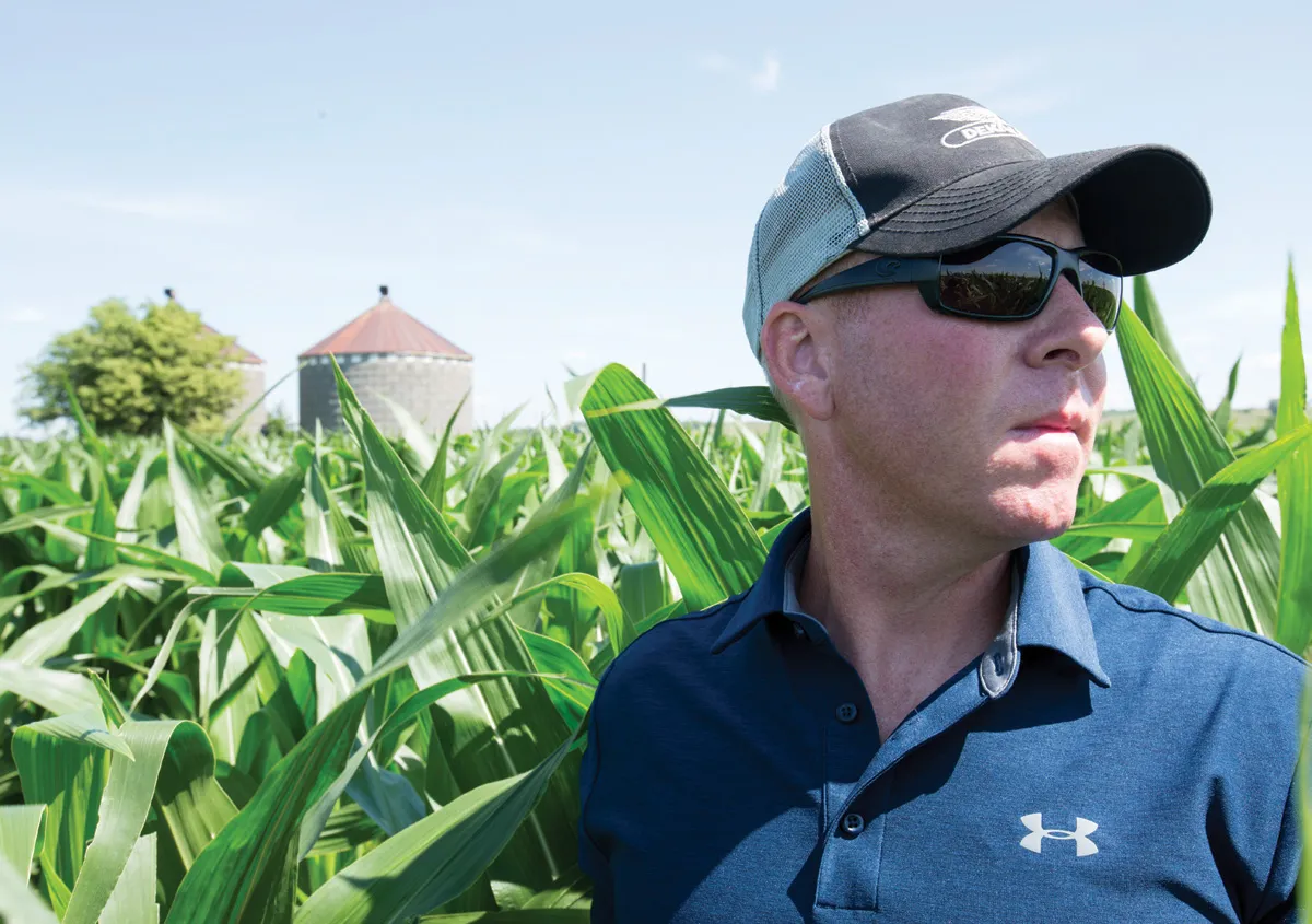 Man in cap and sunglasses in cornfield