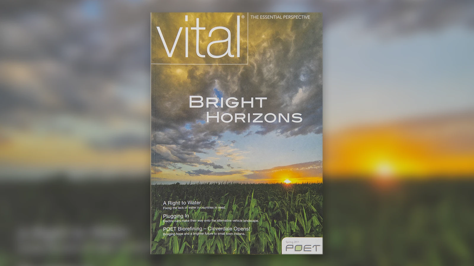 Spring 2011 Vital magazine cover