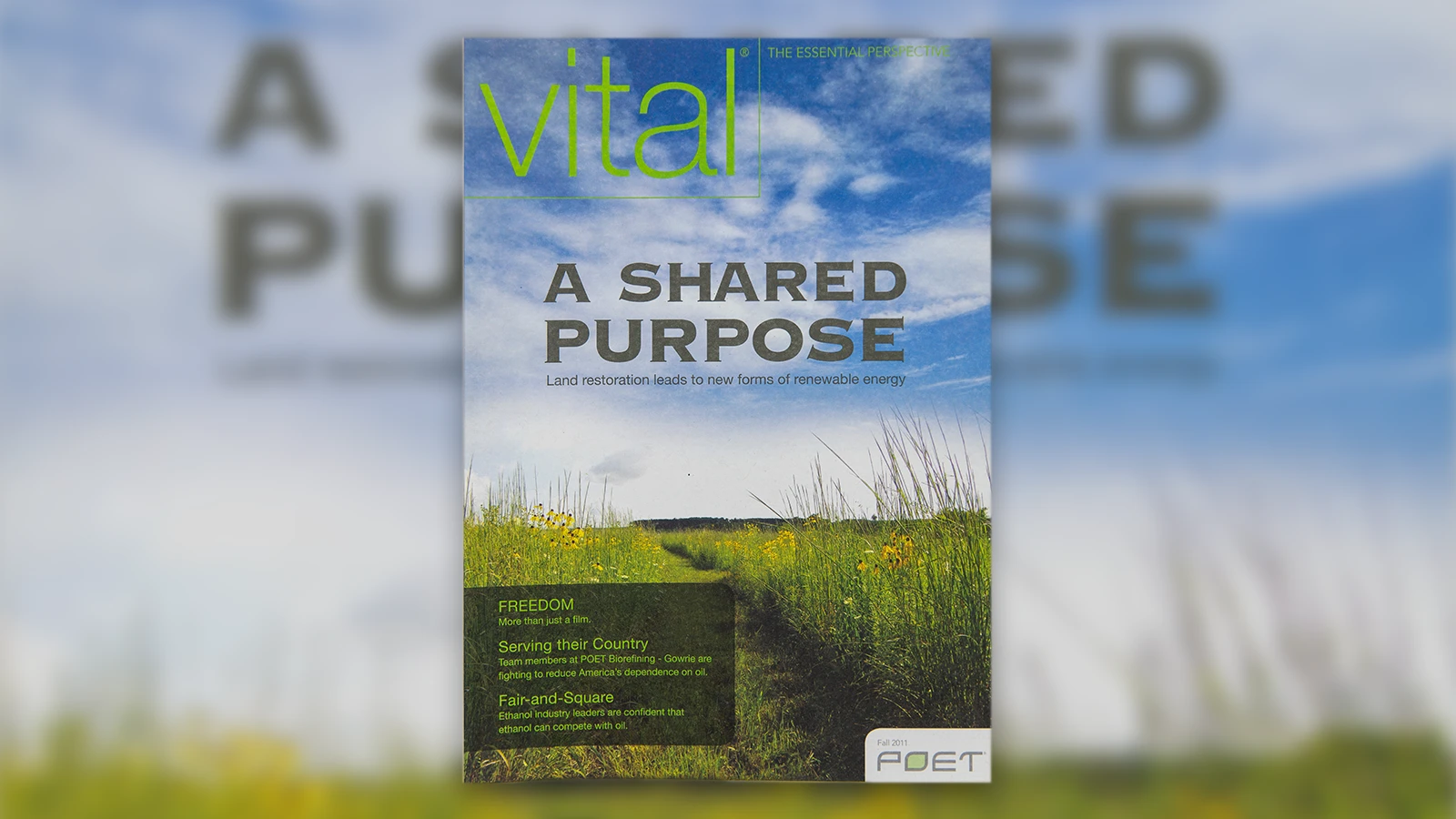 Fall 2011 Vital magazine cover