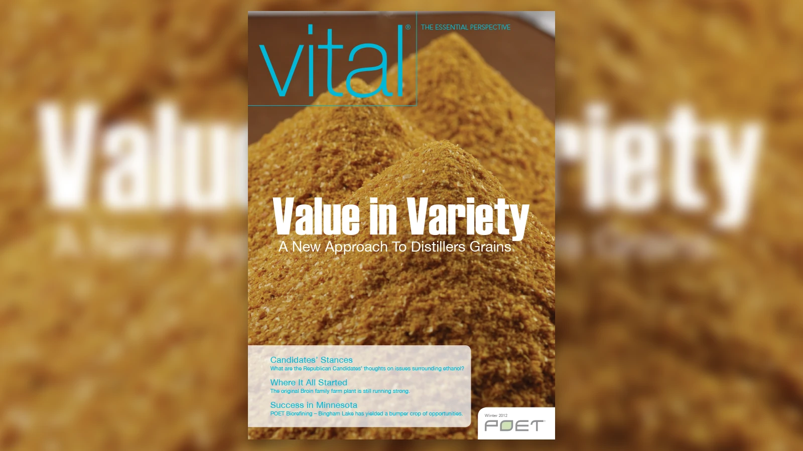 Winter 2012 Vital magazine cover