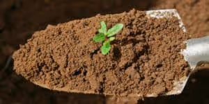 what is the context of your customer feedback?