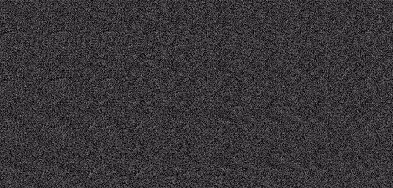 Finspectors background