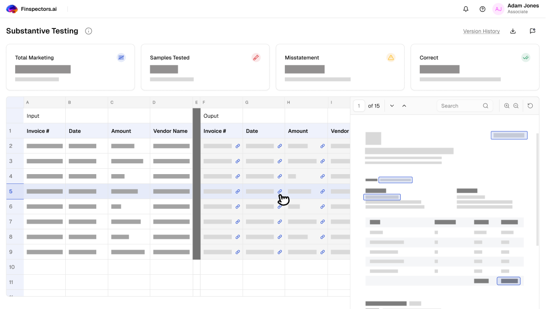 Substantive testing by Finspectors