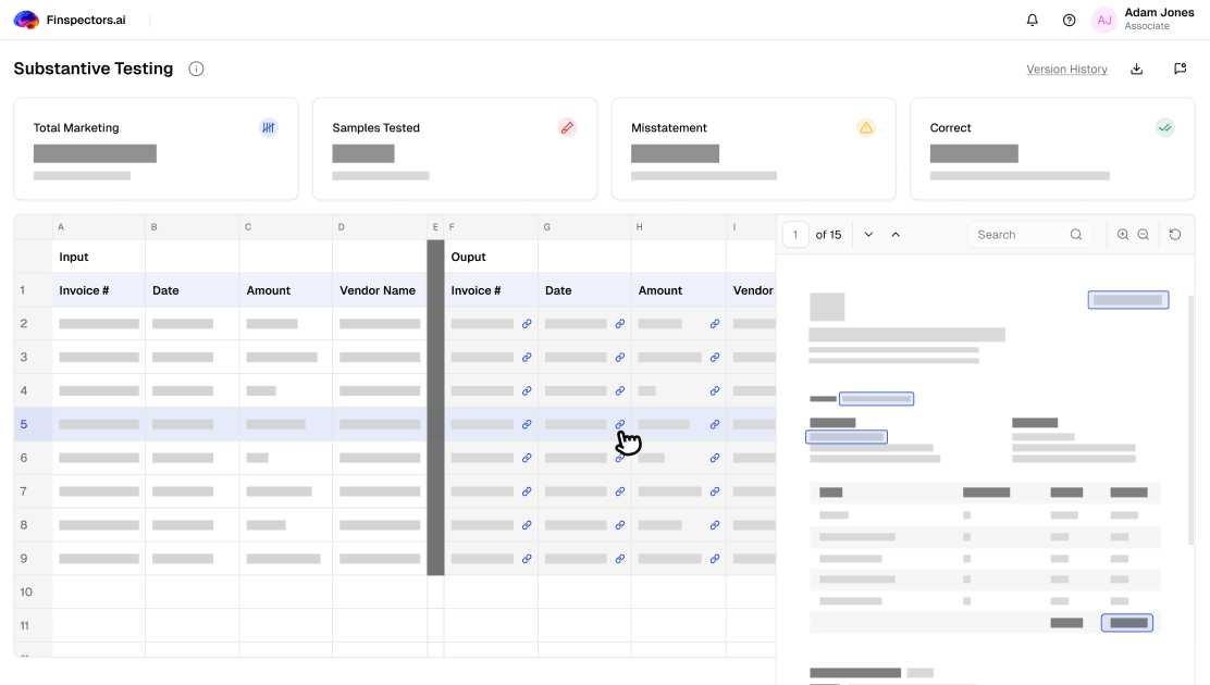 Substantive Testing by Finspectors