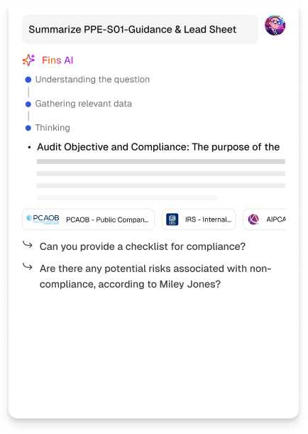 Chat interface showing a conversation with Fins AI summarizing PPE-S01-Guidance and Lead Sheet, listing steps: understanding question, gathering data, thinking, audit objective and compliance summary, and two follow-up questions on checklist and risks of non-compliance.