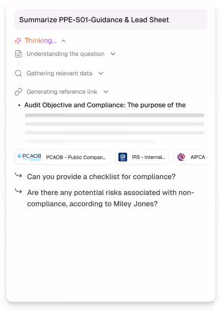 Chat interface showing a conversation with Fins AI summarizing PPE-S01-Guidance and Lead Sheet, listing steps: understanding question, gathering data, thinking, audit objective and compliance summary, and two follow-up questions on checklist and risks of non-compliance.