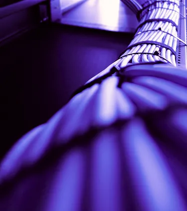 Close-up of organized blue network cables bundled inside server rack.