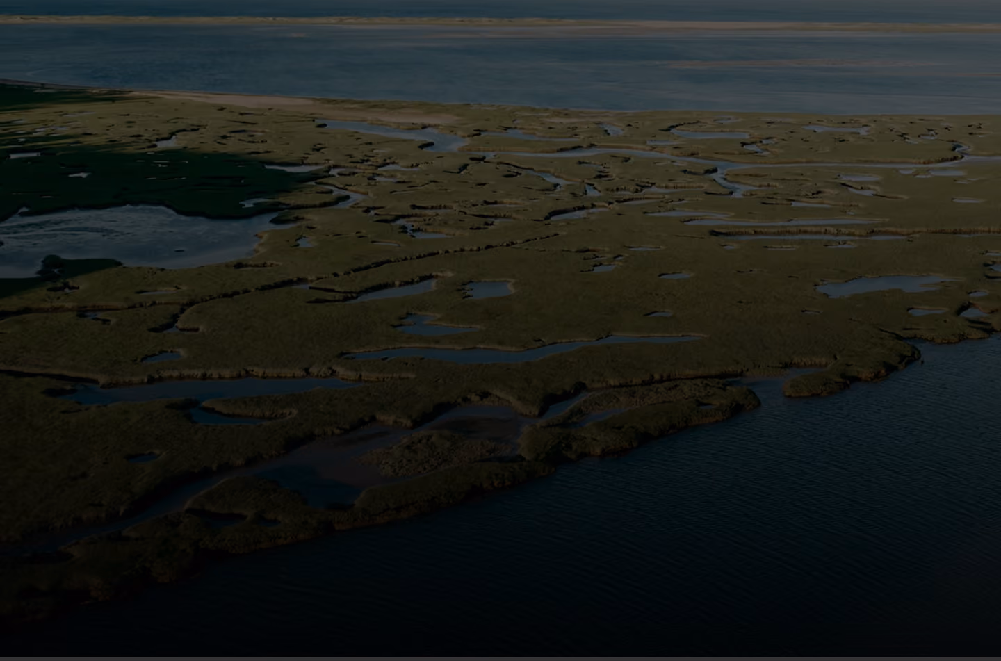 Aerial view of a coastal marshland with tidal channels and dark water surrounding grassy land.