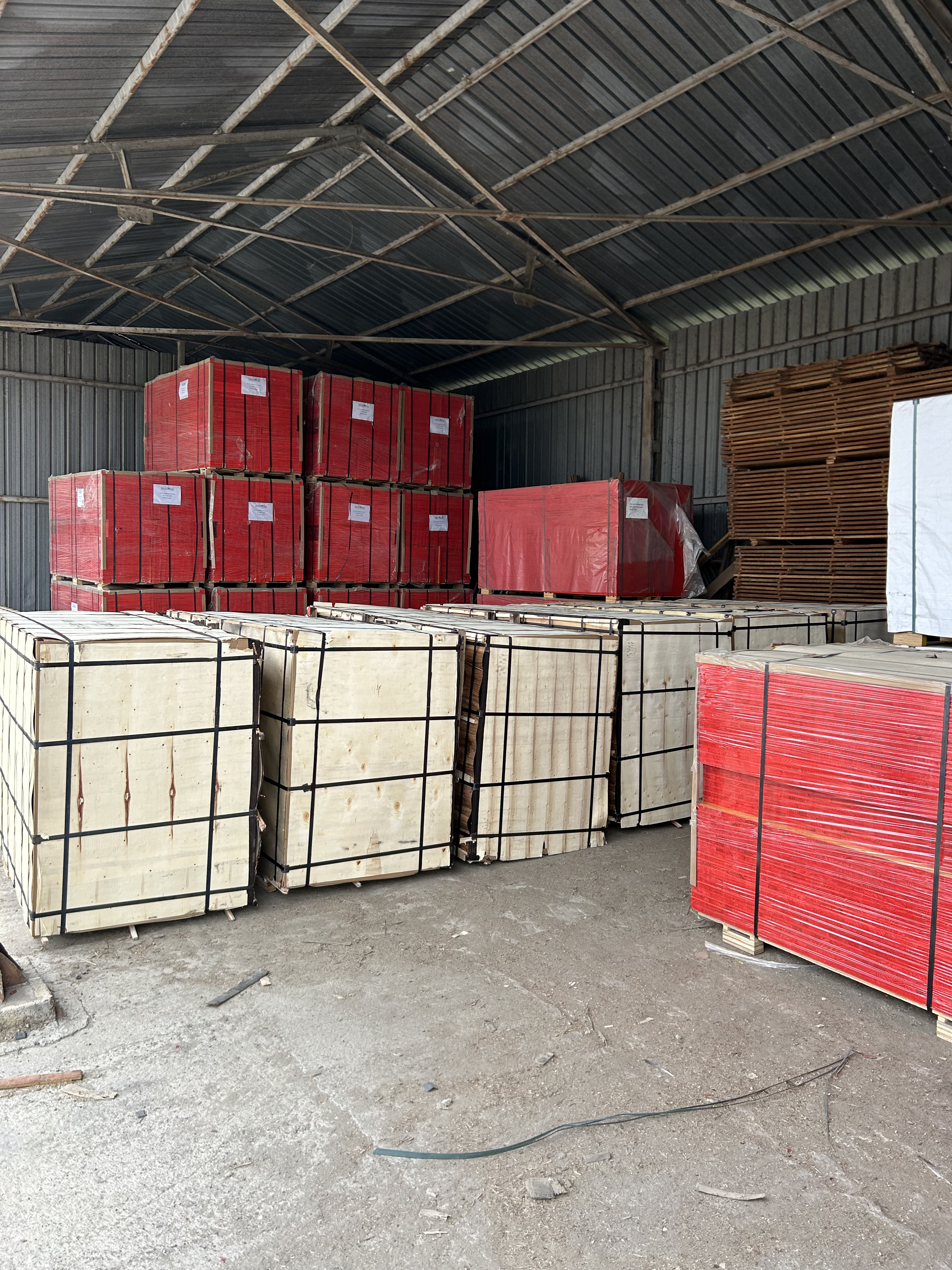 Жълти кофражни платна 500x2000x27мм – трислойни, висока обръщаемост