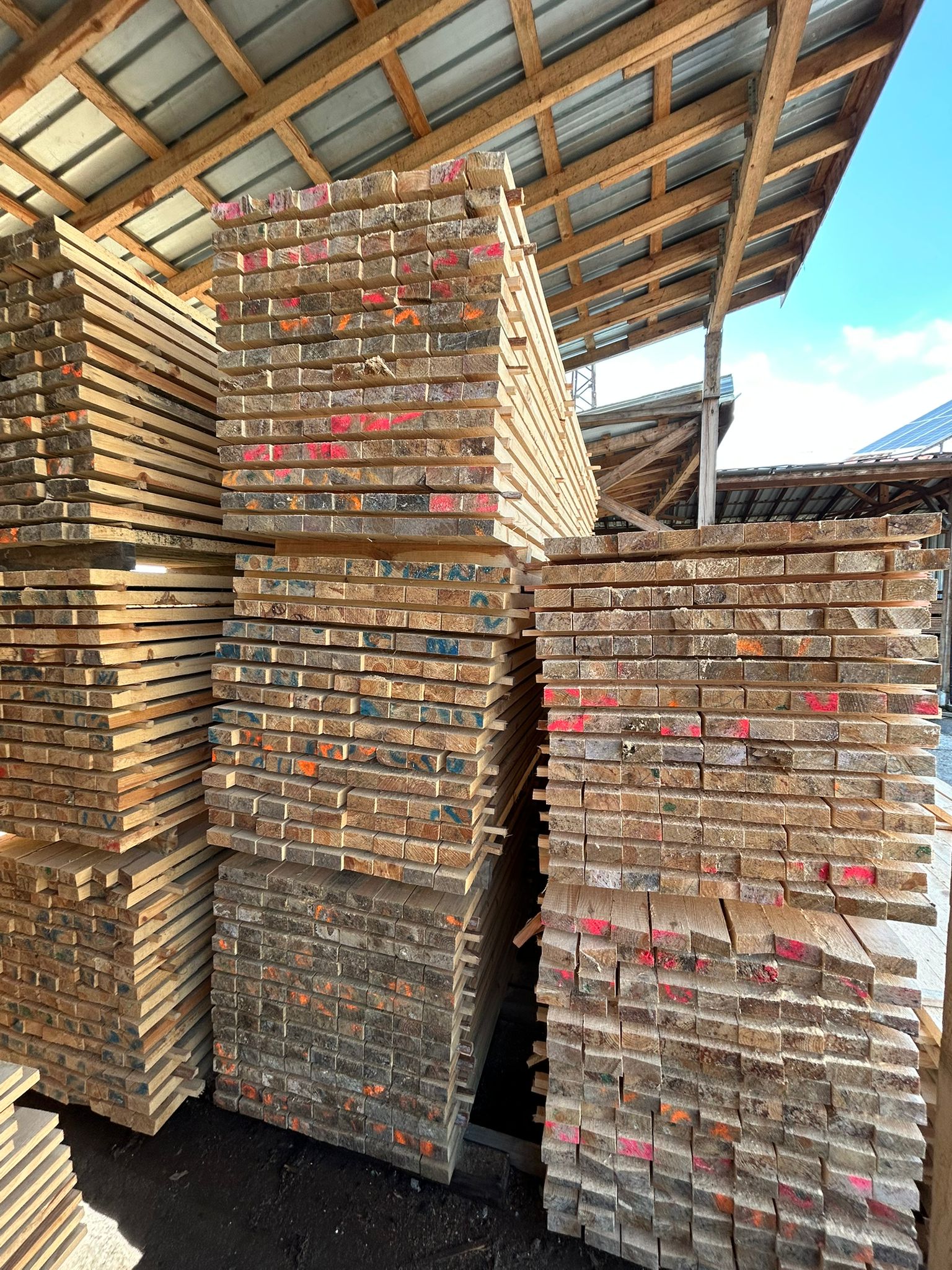 Ребра иглолистни 5/10/300 см | БРОД-ДА ООД