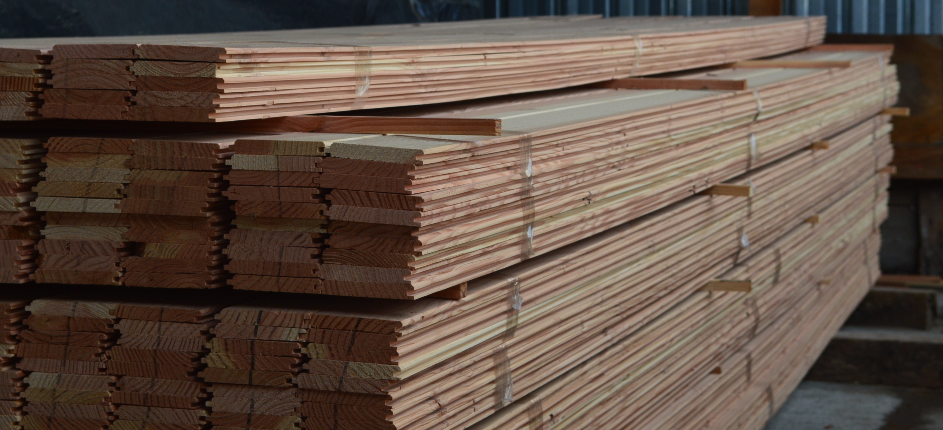 Ламперия иглолистна 9 мм – бор, смърч, дугласка | БРОД-ДА ООД