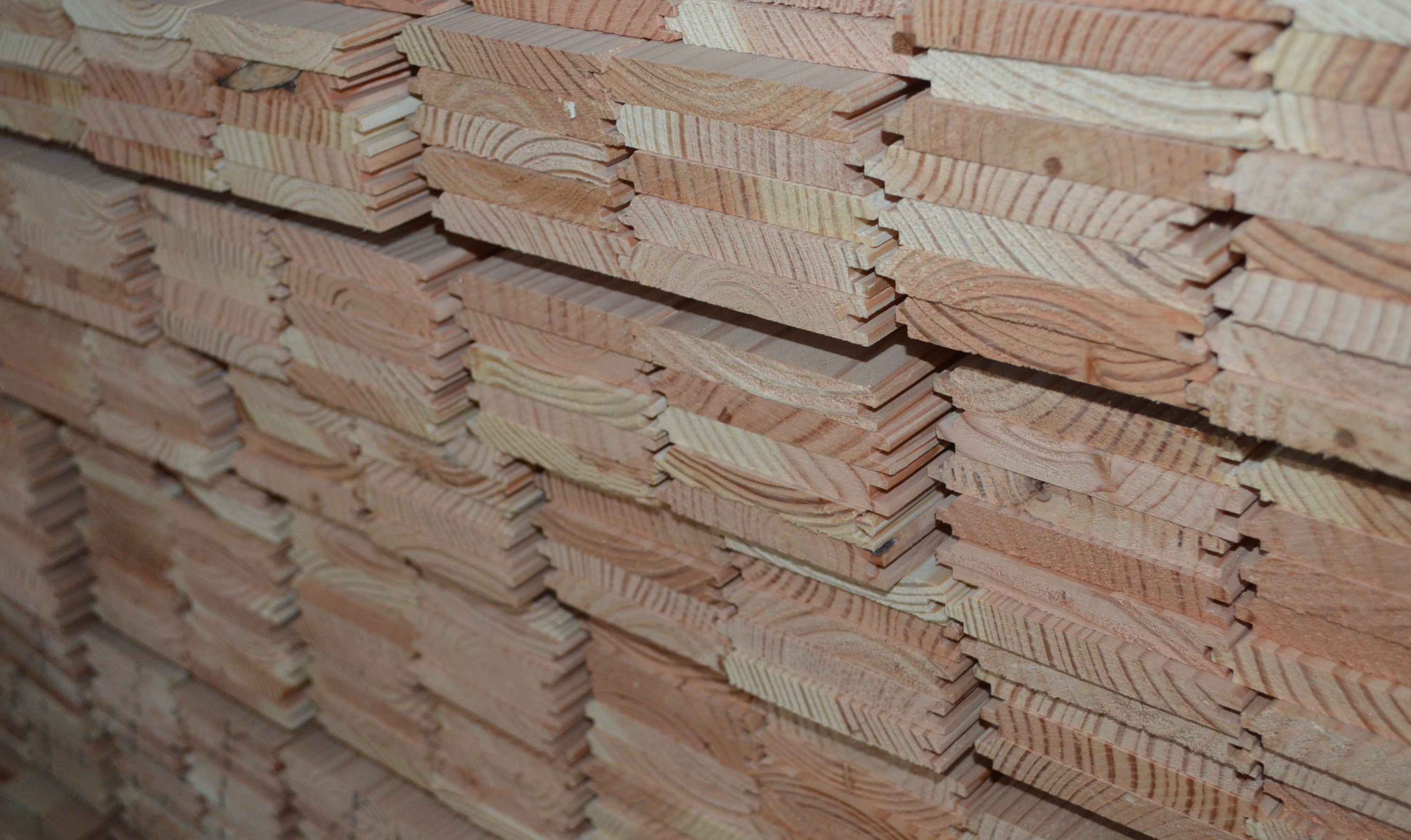 Ламперия иглолистна 9 мм – бор, смърч, дугласка | БРОД-ДА ООД