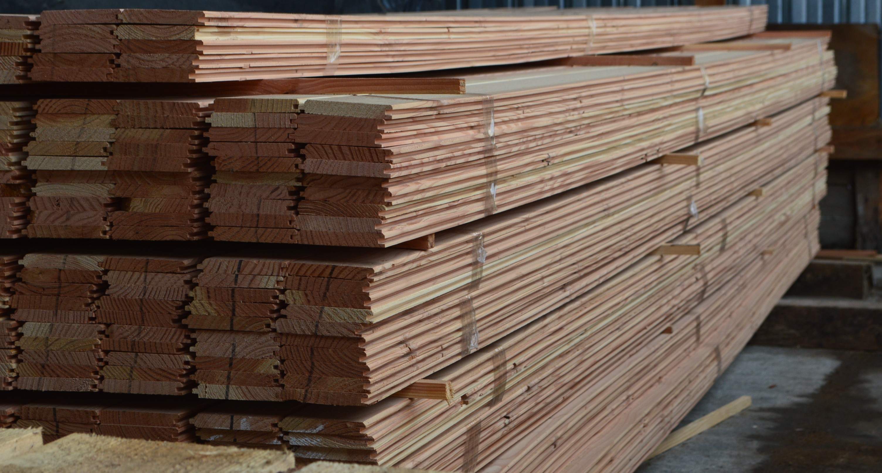 Ламперия иглолистна 9 мм – бор, смърч, дугласка | БРОД-ДА ООД