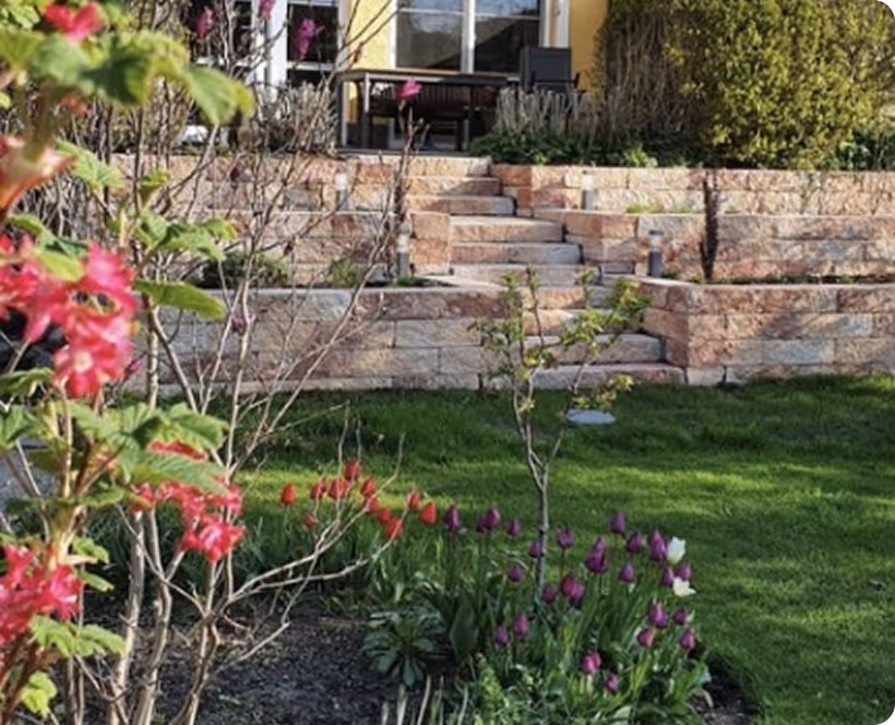 Hausgarten mit blühenden rosa und lila Tulpen, grüner Rasen und Steintreppen, die zu einer Terrasse mit Gartenmöbeln führen.