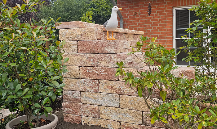Eine weiße Möwe steht auf einer niedrigen Mauer aus grob behauenen Steinen, umgeben von grünen Pflanzen und vor einem roten Ziegelhaus mit Fenster.