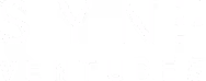 Logo with the word SYNN Ventures in capital letters, with SYNN in large font above Ventures in smaller font.