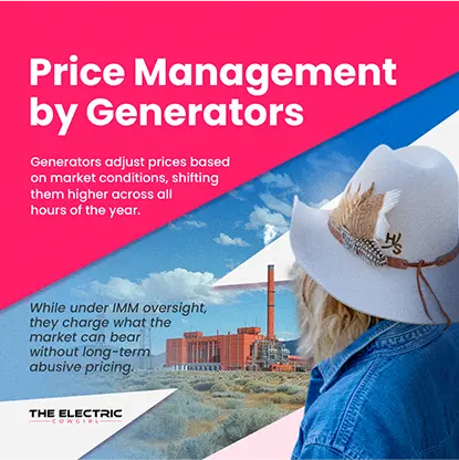 Illustration showing a person in a white hat looking at power plant smokestacks, with text about generators adjusting prices based on market conditions under IMM oversight.