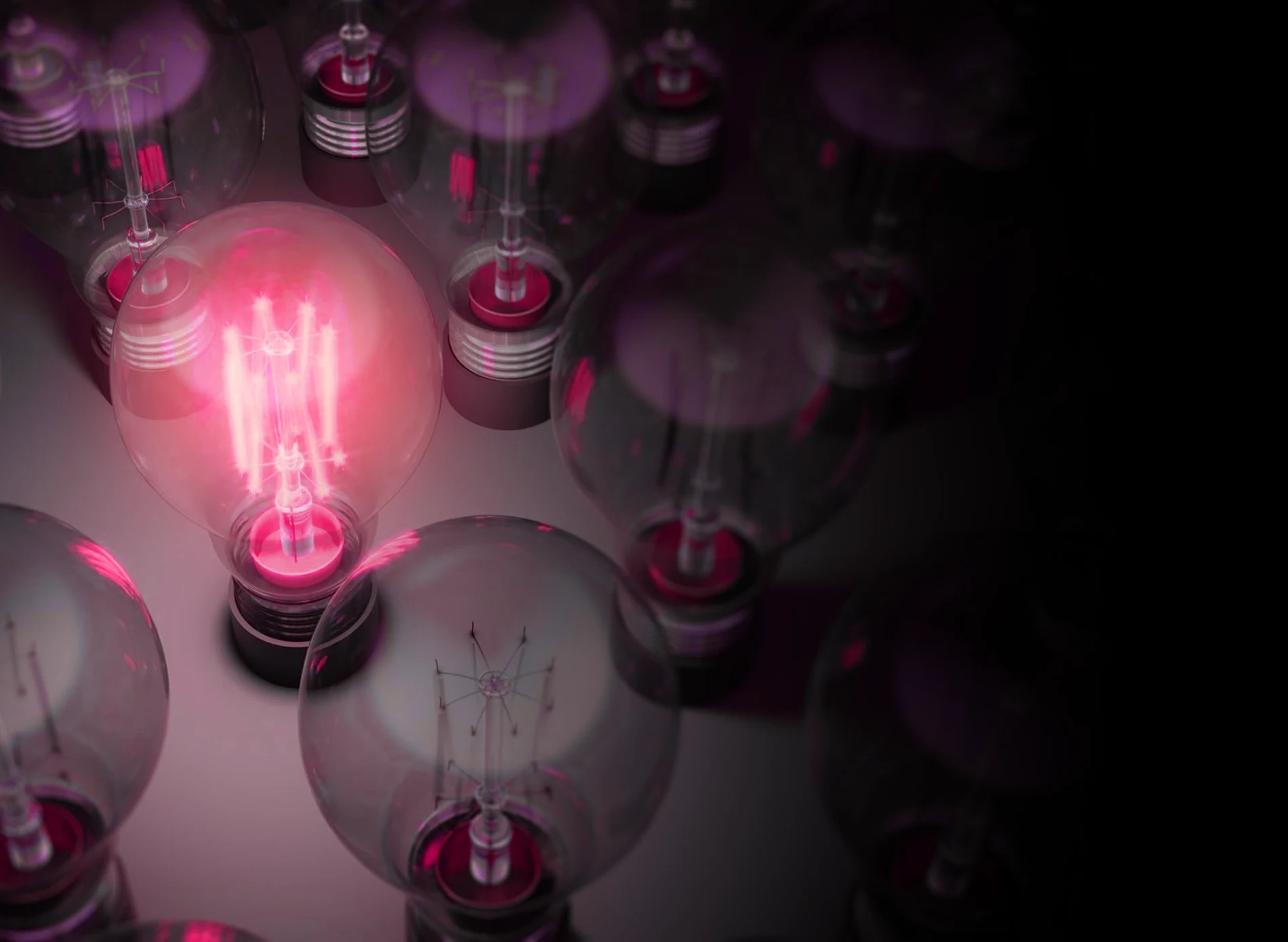 One glowing pink light bulb among several unlit bulbs on a dark surface.