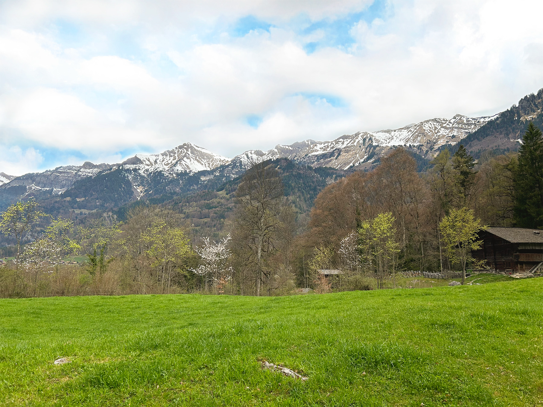 Weite Berglandschaft mit grüner Wiese und schneebedeckten Gipfeln am Ballenberg