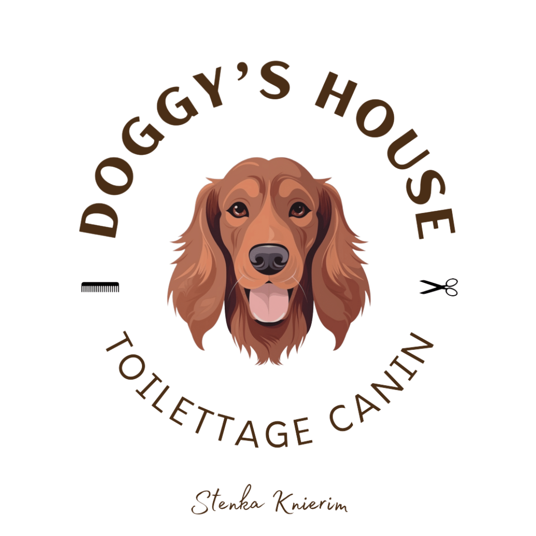 Light Mode Pawcare Webflow Template | Brix Template
