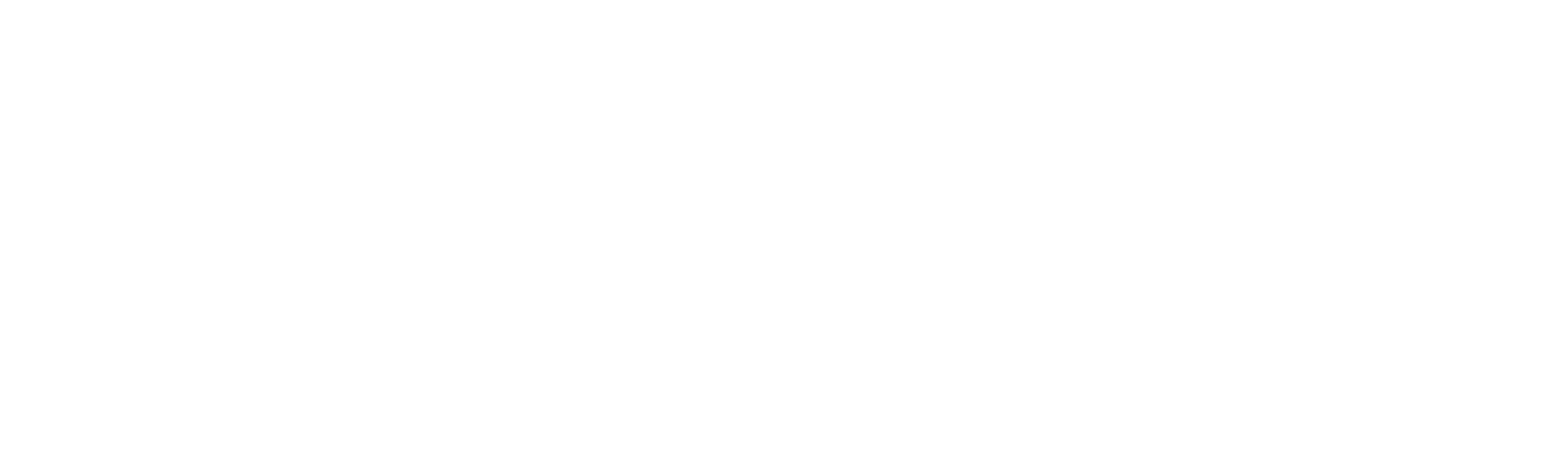 logo Cardone Liv(e)ing