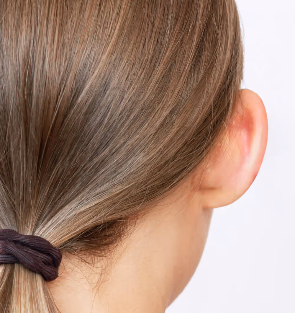 Back of a person's head with light brown hair tied in a low ponytail, showing a prominent ear.