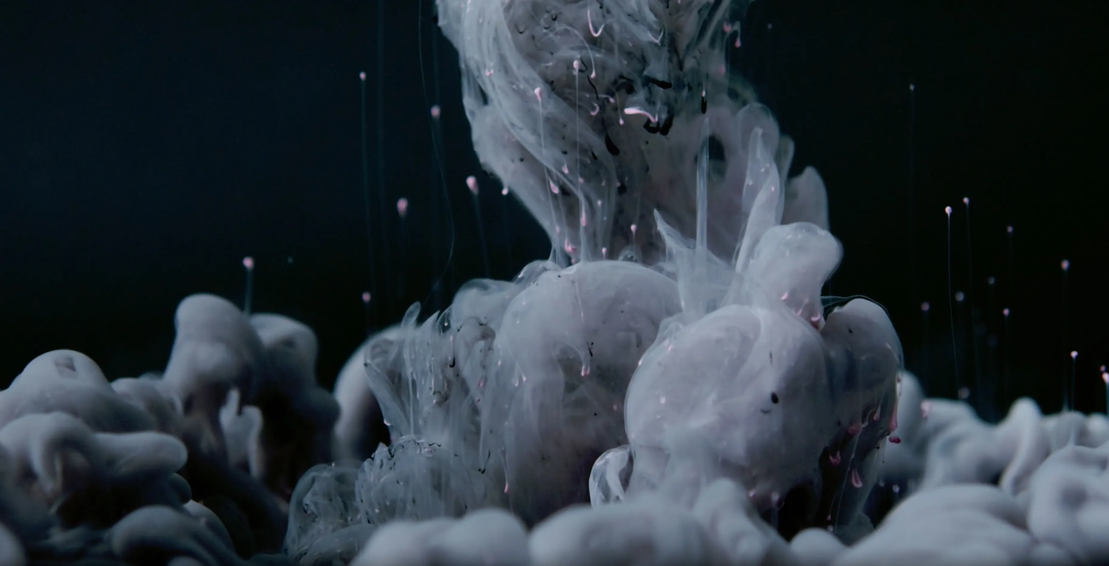 kreaza-service-ideas