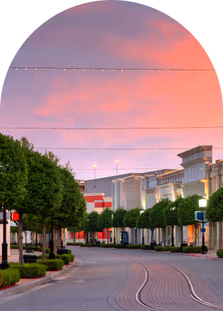 Quiet street with trimmed trees and string lights under a pink sunset sky.