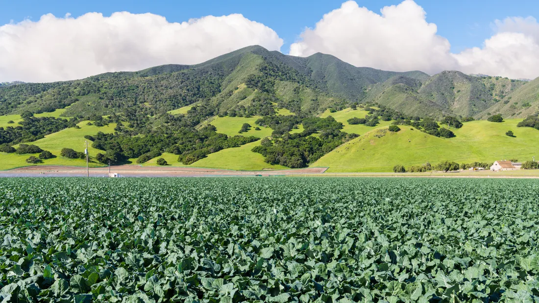 an agricultural field where certified industrial hygiene services are performed