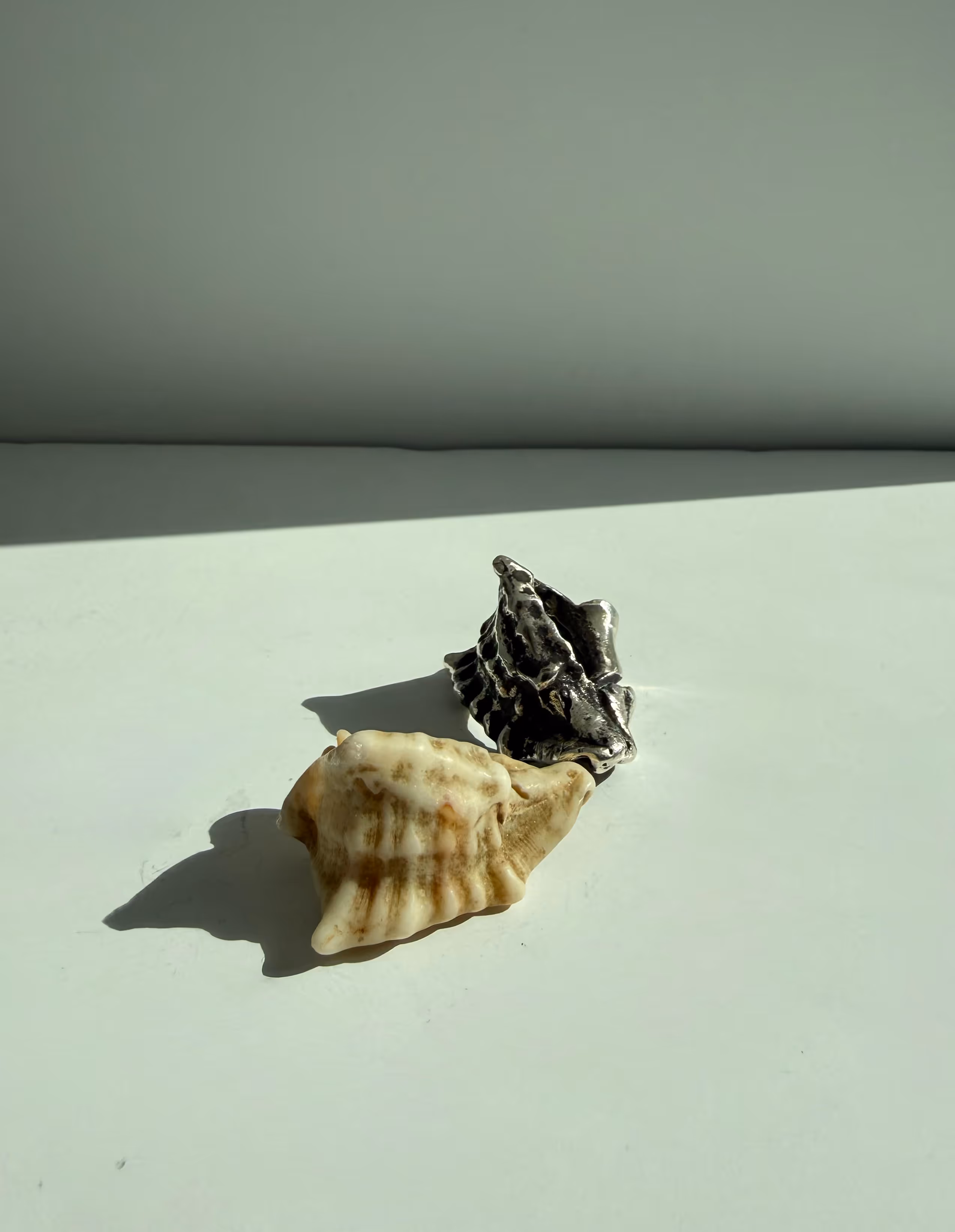 Adriatic Conch Shell Ring