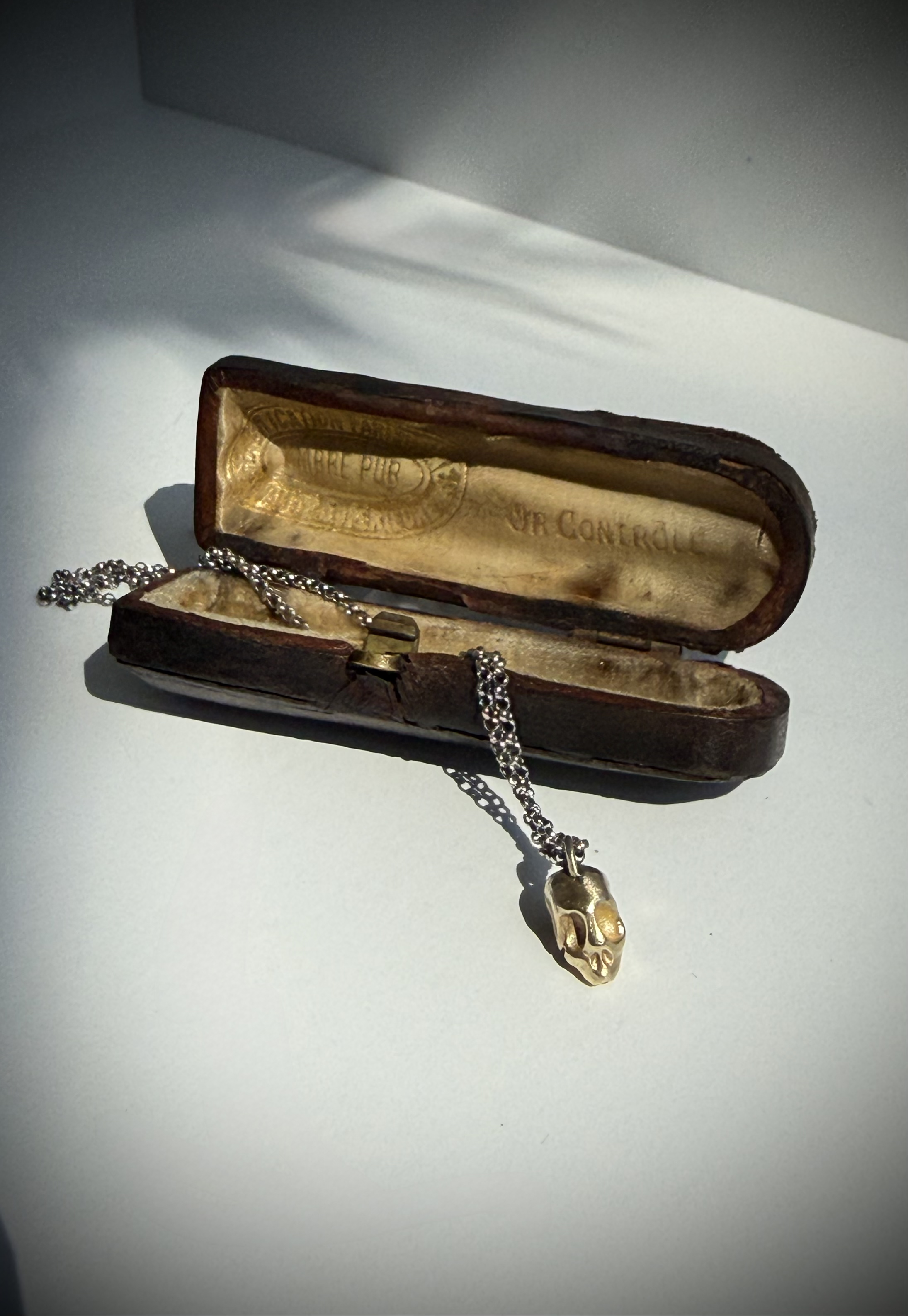 Skull Pendant Necklace