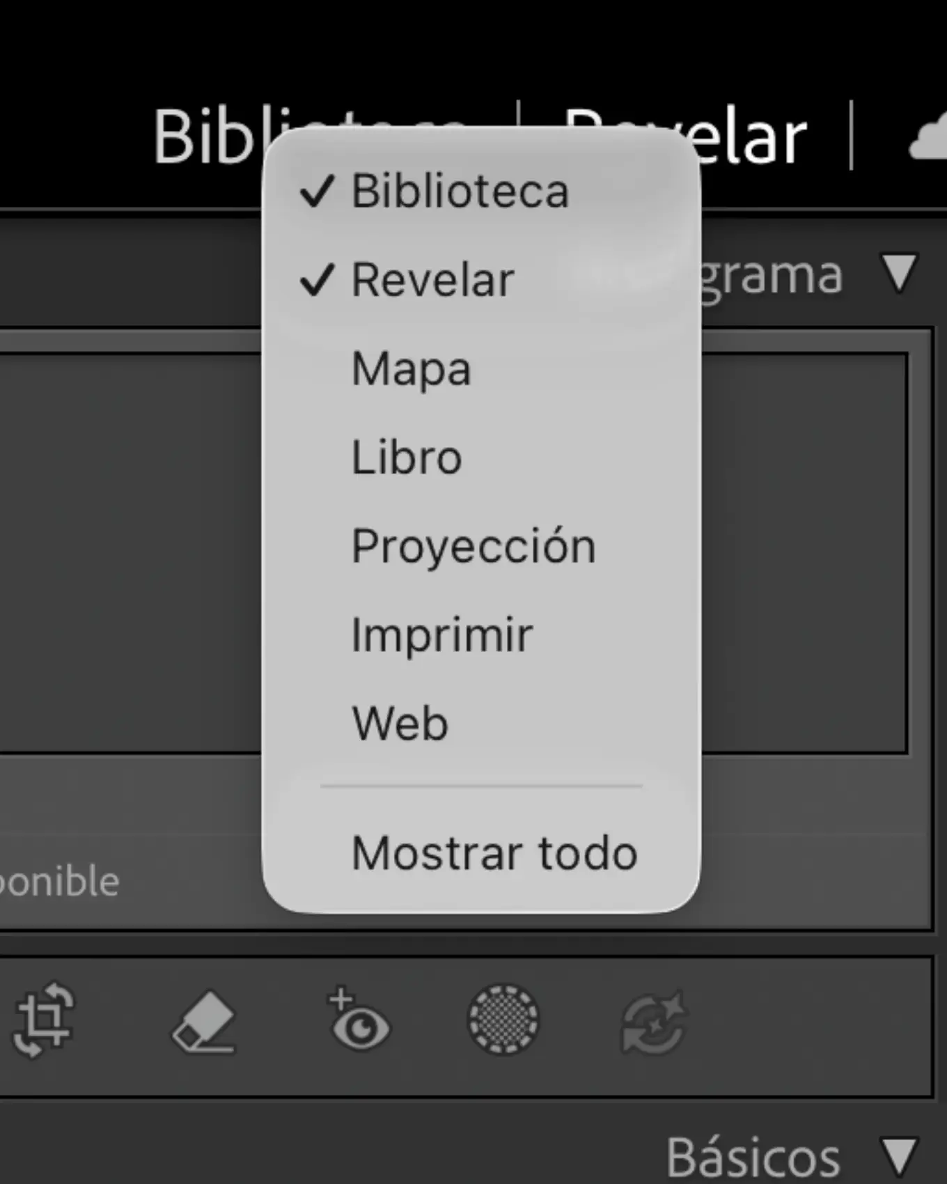 Menú desplegable sobre la barra de pestañas con Biblioteca y Revelar marcados y el resto de módulos sin marcar