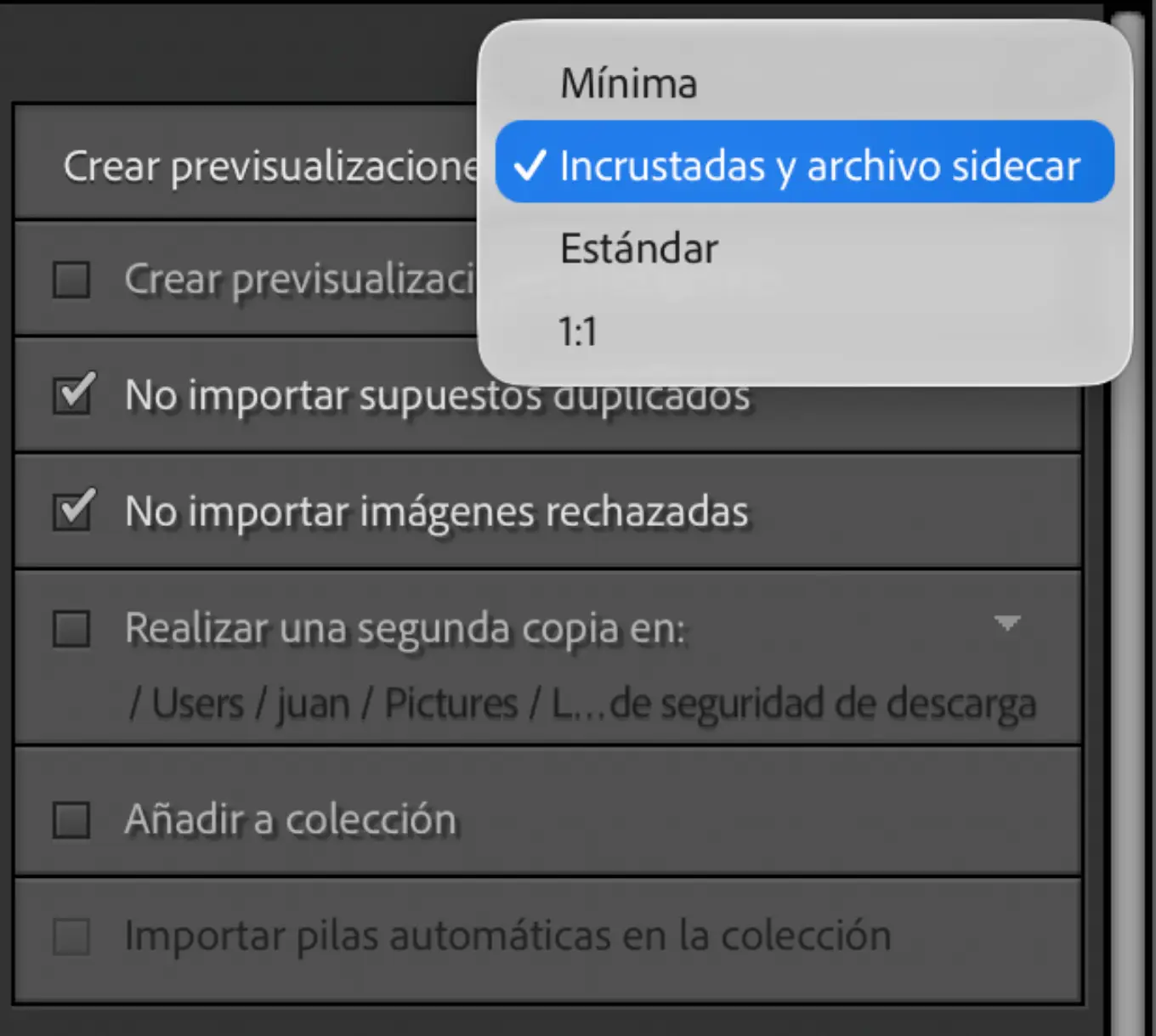 Panel de Administración de archivos con el desplegable de previsualizaciones abierto: Mínima, Incrustadas y archivo sidecar marcada, Estándar y 1:1