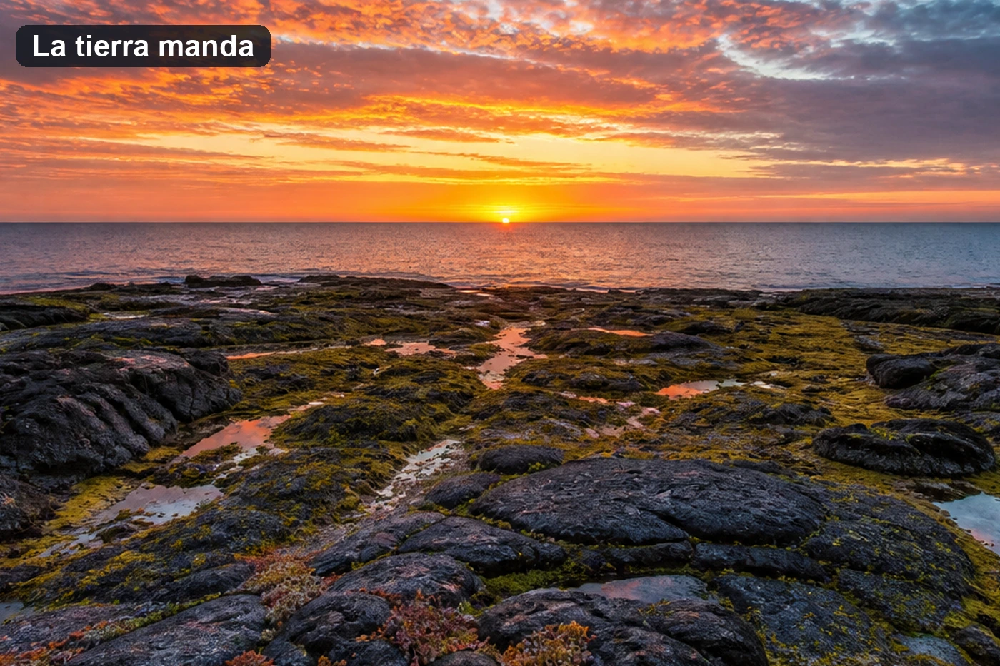 La misma costa al amanecer con el horizonte subido, de modo que las rocas y los charcos del primer plano ocupan dos tercios del encuadre