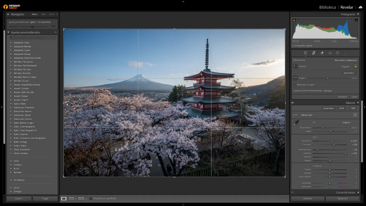 Herramienta de recorte de Lightroom Classic con la cuadrícula de tercios superpuesta sobre una fotografía de una pagoda japonesa con cerezos en flor y el monte Fuji al fondo