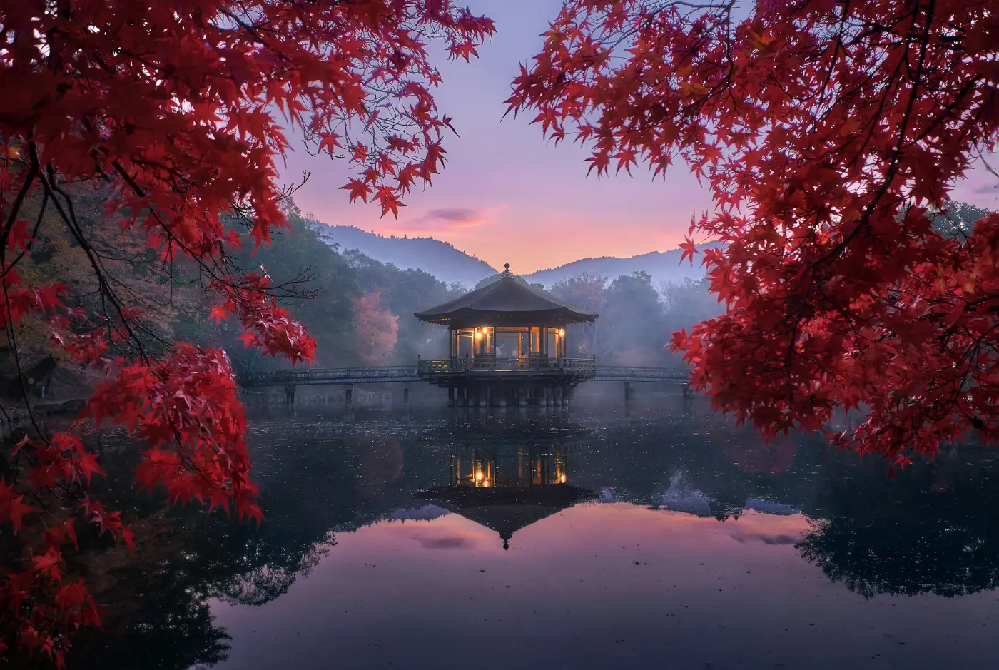 Pabellón japonés iluminado al atardecer sobre un lago, visto a través de un marco natural de ramas de arce rojo que cierran el encuadre por arriba y por los lados