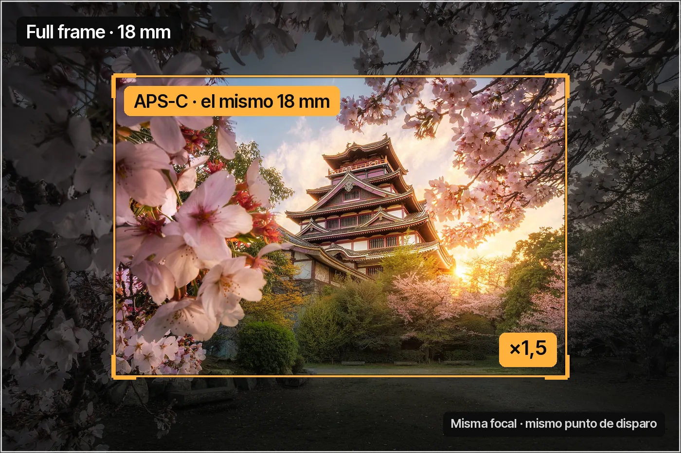 Fotografía con el encuadre de un sensor full frame y, superpuesto, el recorte más cerrado que deja un sensor APS-C con la misma distancia focal