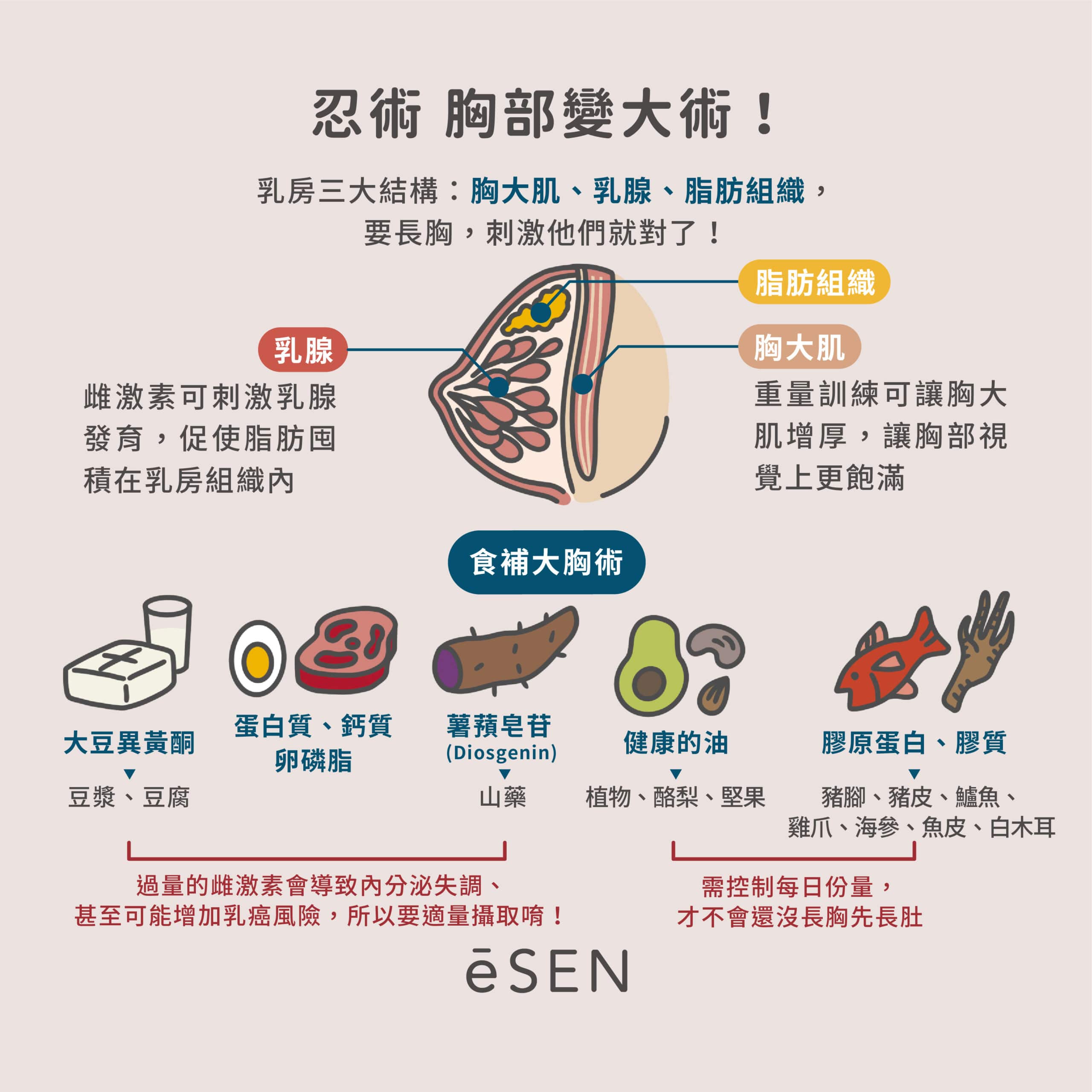 不想再當「太平公主」？掌握豐胸關鍵！忍術！ㄋㄟㄋㄟ變大術！_04