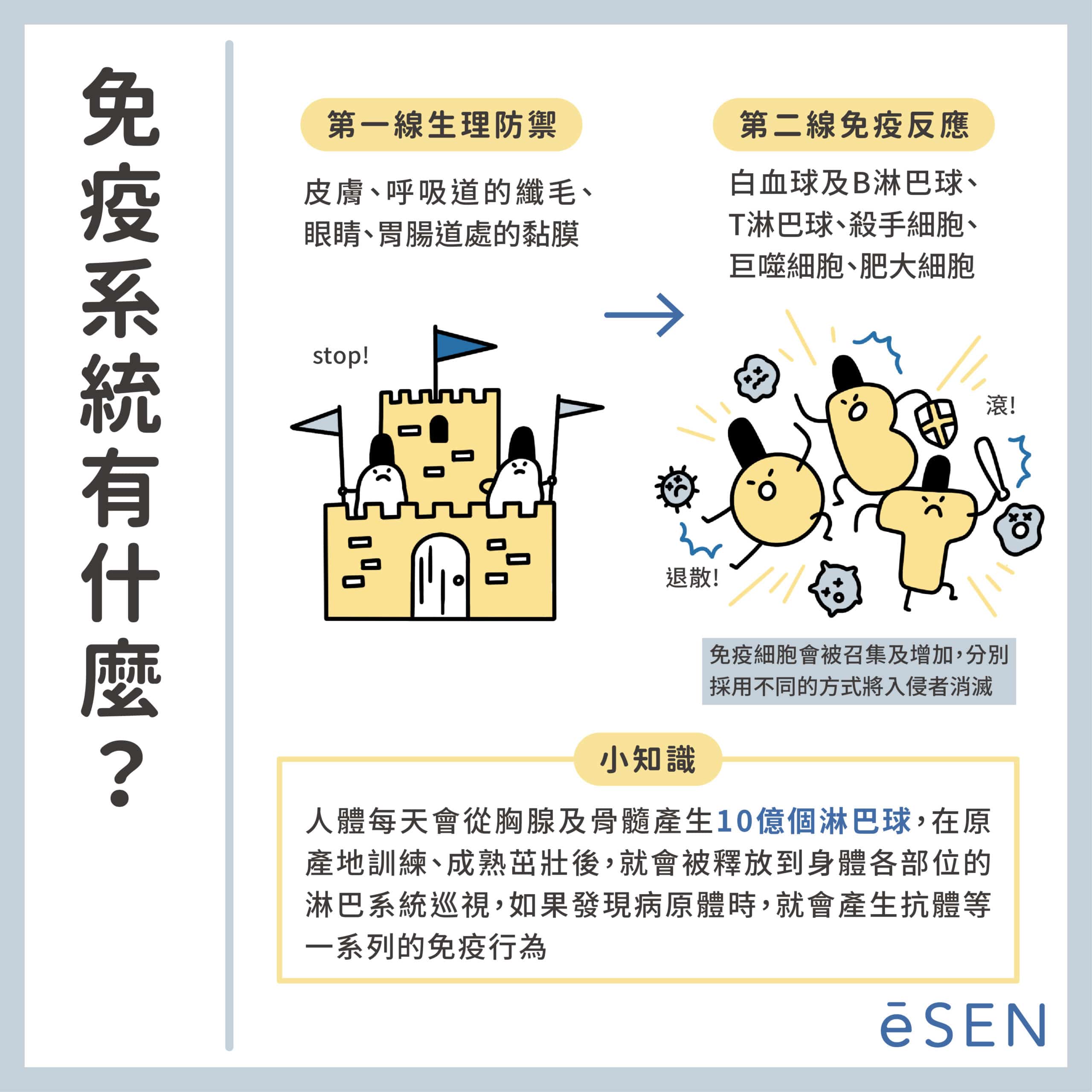 感冒、腸胃炎、嘴巴破?原來都是免疫系統低下搞得鬼!_02
